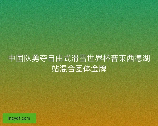 中国队勇夺自由式滑雪世界杯普莱西德湖站混合团体金牌